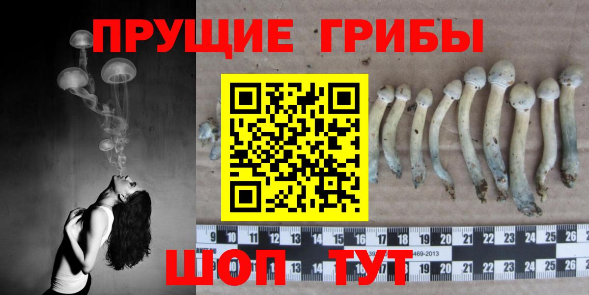 Псилоцибиновые грибы прущие грибы  где купить   Краснокаменск  Вход с VPN 